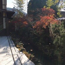 KIYOMIZU京都東山の画像｜庭の様子