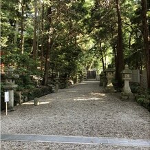 枚岡神社の写真｜拝殿横の参道です。緑が生い茂っていて素敵な写真が撮れました。