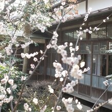 ＨＡＴＳＵＮＥＹＡ　ＧＡＲＤＥＮ　～since 1868 KAWAGOE～の画像