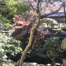 ＨＡＴＳＵＮＥＹＡ　ＧＡＲＤＥＮ　～since 1868 KAWAGOE～の画像