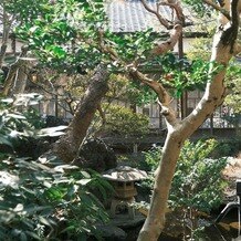 ＨＡＴＳＵＮＥＹＡ　ＧＡＲＤＥＮ　～since 1868 KAWAGOE～の写真｜中庭