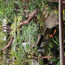 ＨＡＴＳＵＮＥＹＡ　ＧＡＲＤＥＮ　～since 1868 KAWAGOE～の写真｜その他｜2024-11-18 13:03:33.0しまさん投稿