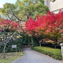 旧桜宮公会堂（国登録重要文化財）の写真｜挙式会場｜2024-12-11 07:20:21.0はれさん投稿