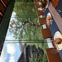 辻家庭園　～前田家家老旧横山家迎賓館～（金沢市指定文化財）の写真｜その他｜2025-08-07 21:36:33.0みーさん投稿