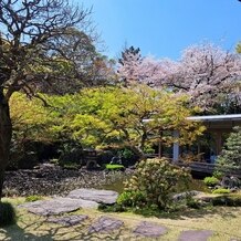 国際文化会館（International House of Japan）の画像｜日本庭園の向こう側に空中庭園の桜が見えます。和装の結婚式も素敵です。