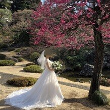 国際文化会館（International House of Japan）の画像｜庭園の一角