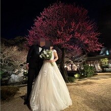 国際文化会館（International House of Japan）の画像｜庭園の夜の景色