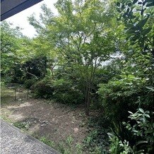 Flairge 桜坂（フレアージュ　桜坂）の写真｜お庭が会場の横にあって、憩いの場みたいになっていました