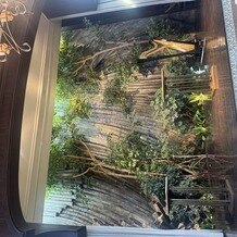 クラシカ表参道／別邸KEYAKIの写真｜その他｜2025-07-22 19:04:46.0ぺんさん投稿