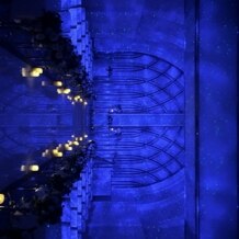 アルマリアン ＴＯＫＹＯの画像