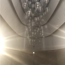 ノートルダム横浜みなとみらいの画像｜天井