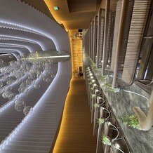 ノートルダム横浜みなとみらいの画像