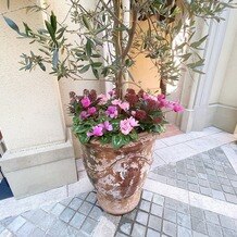 ハートコート横浜（ＨＥＡＲＴ ＣＯＵＲＴ 横浜）の画像｜外に置いてあった花壇です
