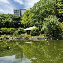 ザ・ガーデンオリエンタル・大阪の写真｜お庭が緑豊かでステキでした。
