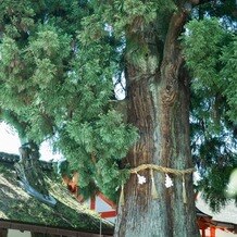 菊水楼(THE KIKUSUIRO NARAPARK)の画像｜春日大社での神前式