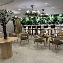 The Forest of Lold（ザ　フォレスト　オブ　ロルド）の写真｜その他｜2025-07-18 13:41:21.0るみさん投稿