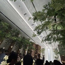 ザ ストリングス 博多の写真｜本物の植物が飾られていてとてもおしゃれでした。