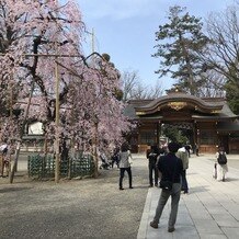 大國魂神社　結婚式場の画像｜参進の儀を行う場所(春)