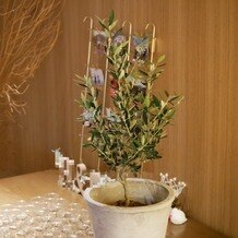 Miel Citron（ミエルシトロン）の写真｜オリーブ植樹