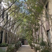 目白の森 メーヤー・ライニンガーの画像