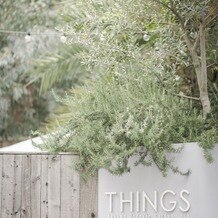 THINGS Aoyama Organic Garden.dthの写真｜その他｜2025-05-18 22:40:42.0とんさん投稿