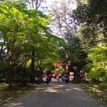 下鴨神社（賀茂御祖神社）の画像