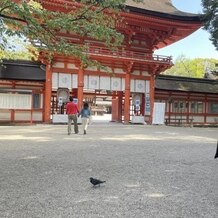 下鴨神社（賀茂御祖神社）の画像