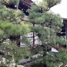 下鴨神社（賀茂御祖神社）の画像