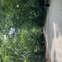 下鴨神社（賀茂御祖神社）の写真｜その他｜2025-07-25 18:43:44.0もちこさん投稿