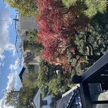 京都祝言 ＳＨＵ：ＧＥＮの画像
