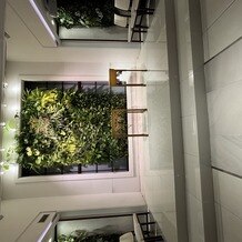 パラッツォ ドゥカーレ 麻布の画像