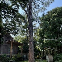 ＢＡＲＮ＆ＦＯＲＥＳＴ（バーン　アンド　フォレスト）の写真｜披露宴・パーティー会場｜2025-08-24 21:34:51.0カナさん投稿