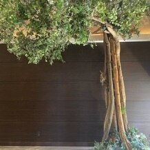 センティール・ラ・セゾン　岐阜の写真｜その他｜2025-08-16 00:35:02.0セシルさん投稿