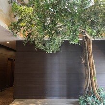 センティール・ラ・セゾン　岐阜の写真｜その他｜2025-08-30 00:07:44.0こっさん投稿