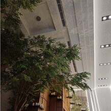 ザ ストリングス 表参道の画像