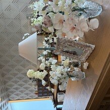 ラピスコライユの写真｜その他｜2025-09-14 23:10:22.0ちさん投稿