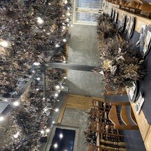 Ｒｕｂａｎ （リュバン）の写真｜その他｜2025-09-02 23:25:16.0みみさん投稿