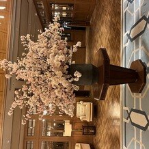 ＴＨＥ ＧＲＡＮＤ ＨＯＵＳＥ（グランドハウス）の写真｜その他｜2025-03-22 10:22:43.0まーさん投稿