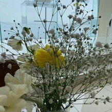ＡＭＡＮＤＡＮ　ＣＡＬＭ（アマンダンカルム）の画像｜チャペル生花