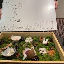 ＭＥＤＩ（メディー）の画像