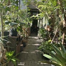 ＭＥＤＩ（メディー）の画像｜ゲストの入場用通路
※新郎新婦は別