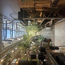 ＭＥＤＩ（メディー）の画像