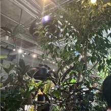 ＭＥＤＩ（メディー）の画像