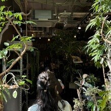 ＭＥＤＩ（メディー）の画像