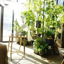 ＭＥＤＩ（メディー）の画像
