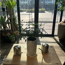 ＭＥＤＩ（メディー）の画像