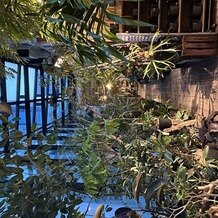 ＭＥＤＩ（メディー）の画像