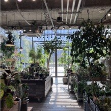 ＭＥＤＩ（メディー）の画像