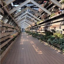 ＭＥＤＩ（メディー）の画像