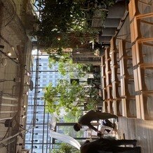 ＭＥＤＩ（メディー）の画像
